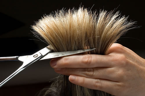 Cutting and Styling Hair