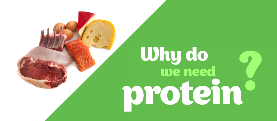 Hair Loss Caused by Lack of Protein